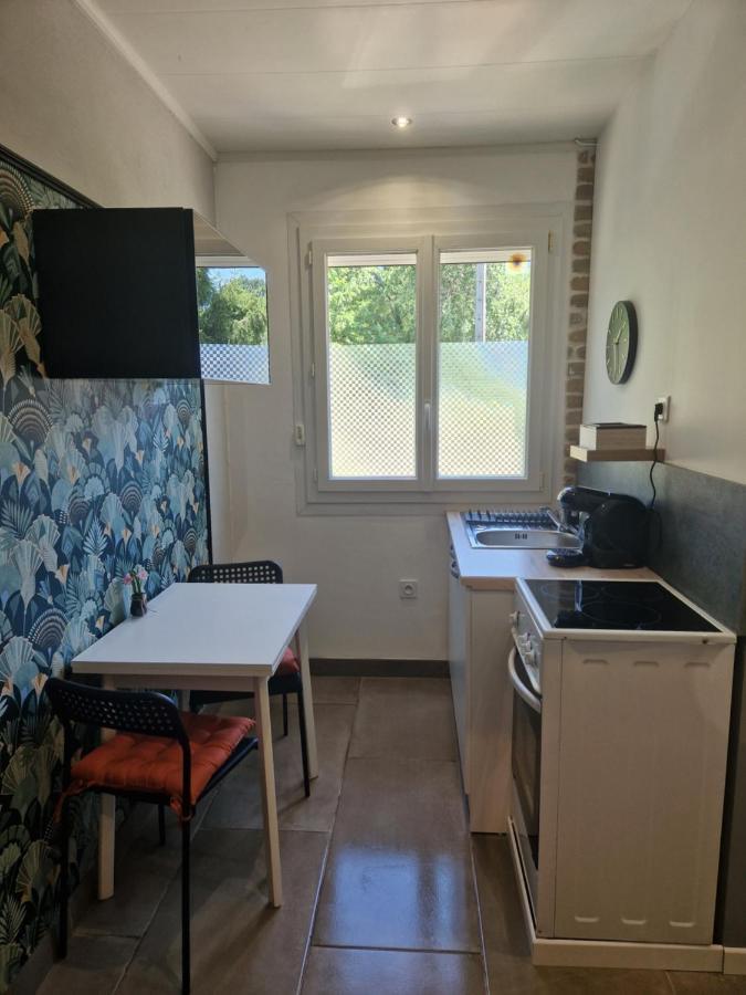Appartement Independant Dans Maison Avec Jardinet, Au Calme Serezin-du-Rhone Exterior photo